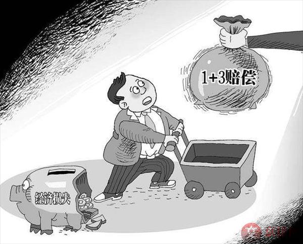 惩罚性赔偿原则的特点是什么-石景山律师_北京石景山律师_石景山区律师免费咨询_石景山区律师事务所