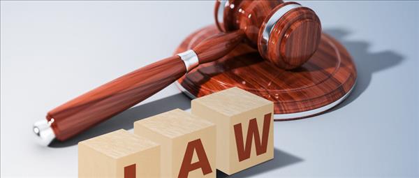 金融证券犯罪判刑